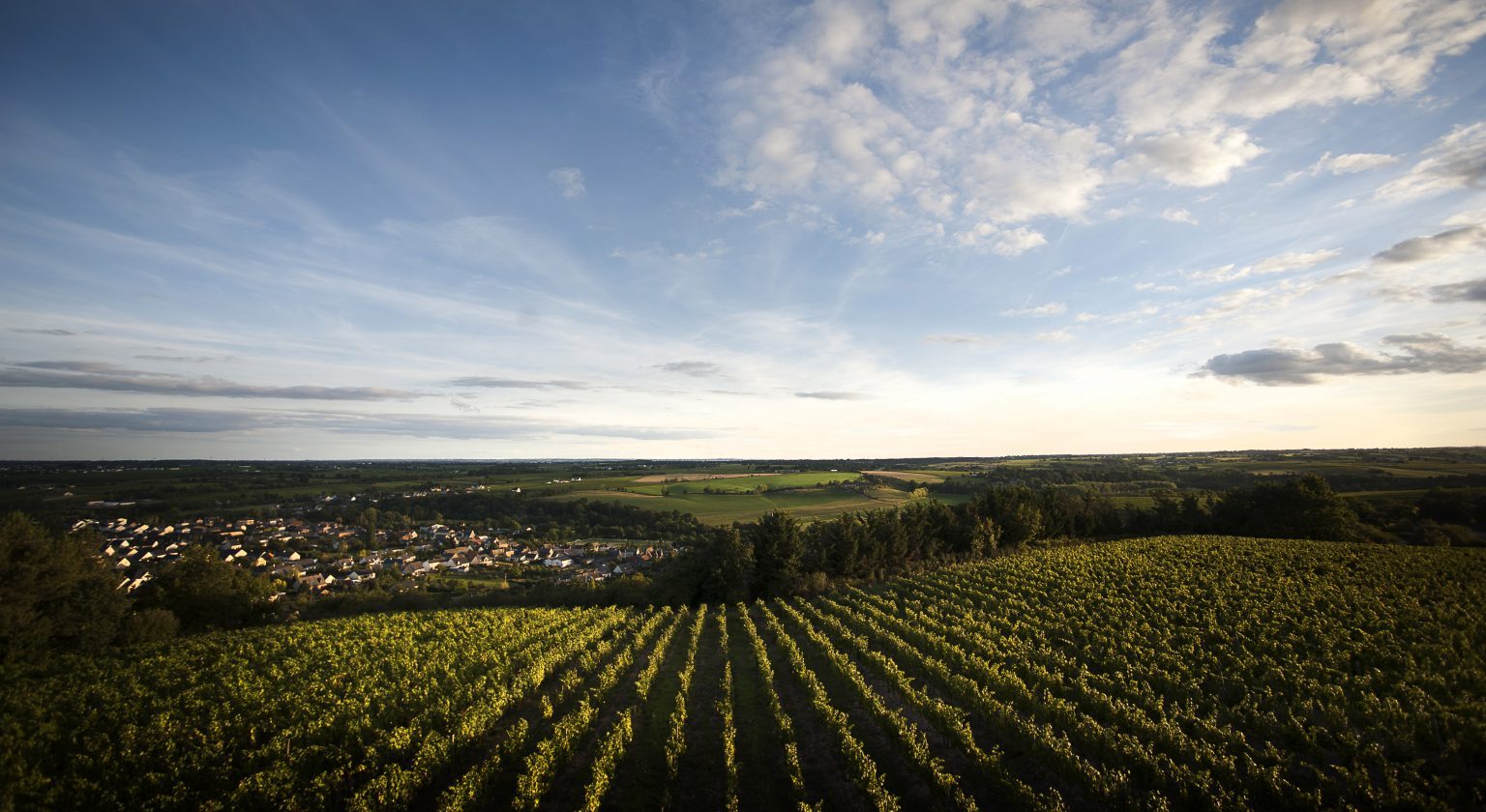 Vue sur le vignoble de Bonnezeaux et la vallée du Layon